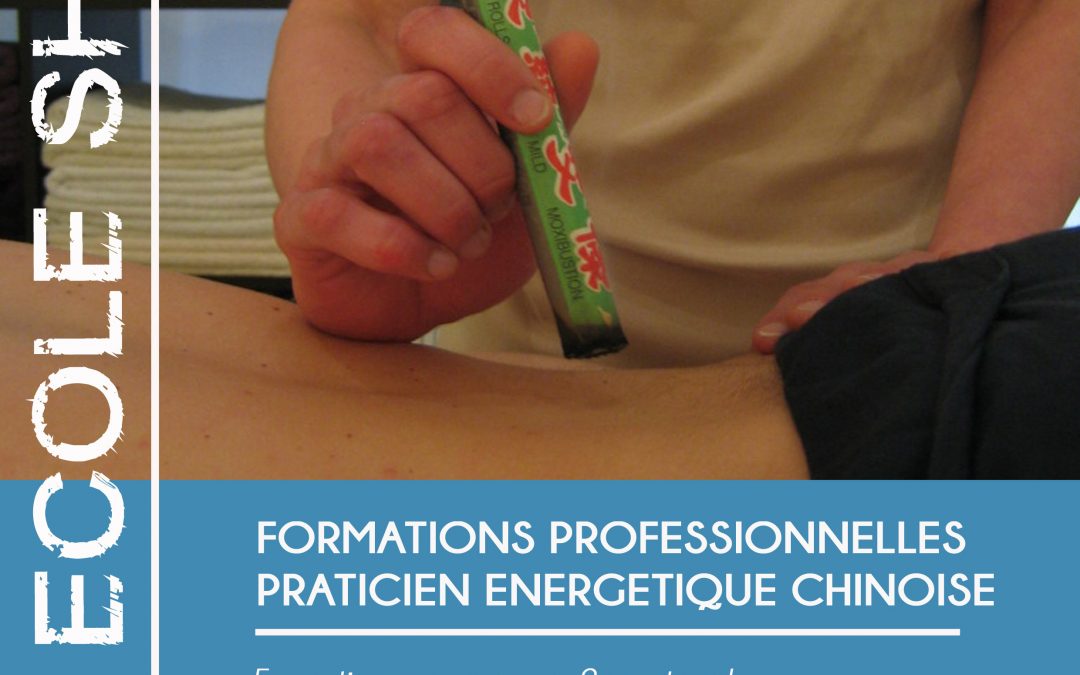 Praticien en Energétique Traditionnelle Chinoise