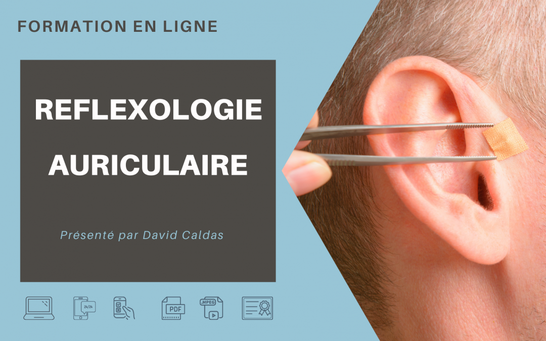 FORMATION AURICULOTHERAPIE A DISTANCE EN LIGNE E-LEARNING